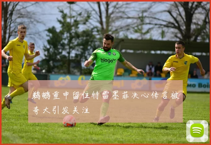 鹈鹕重申留住特雷墨菲决心传言被夸大引发关注